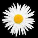 sweety